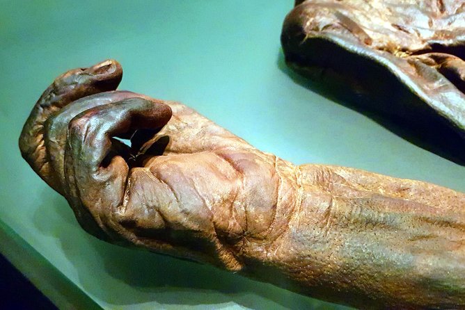 Private Tour of Dublin Museums (Walking Tour) - Who should book this Dublin Museums private walking tour?
