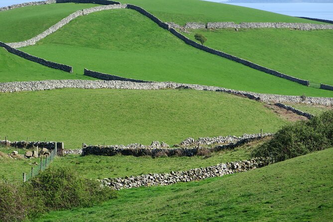 Private Tour of Newgrange and The Hill of Tara - County Meath time: where the tour turns flexible instead of rigid
