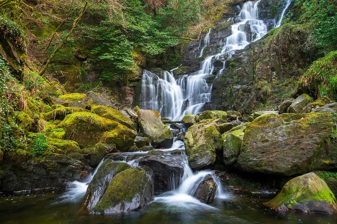 Private Tour:Ring of Kerry,Kerry Cliffs, starting in (from) Killarney - Kerry Cliffs: birds, sea drama, and the one stop you plan around