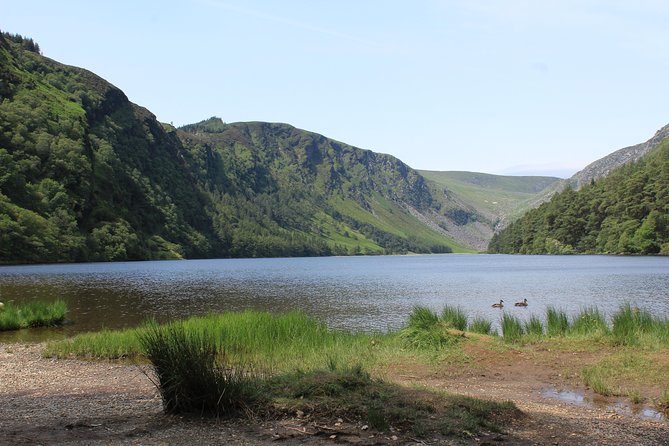 Private Wicklow Mountains Day Tour - Powerscourt House and Gardens, Avoca Coffee, and Craft Shopping