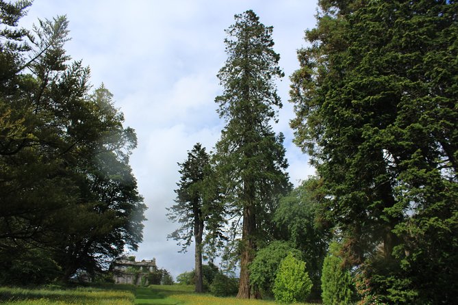 Private Wicklow Mountains Day Tour - What Is Included vs. What You’ll Pay for Yourself