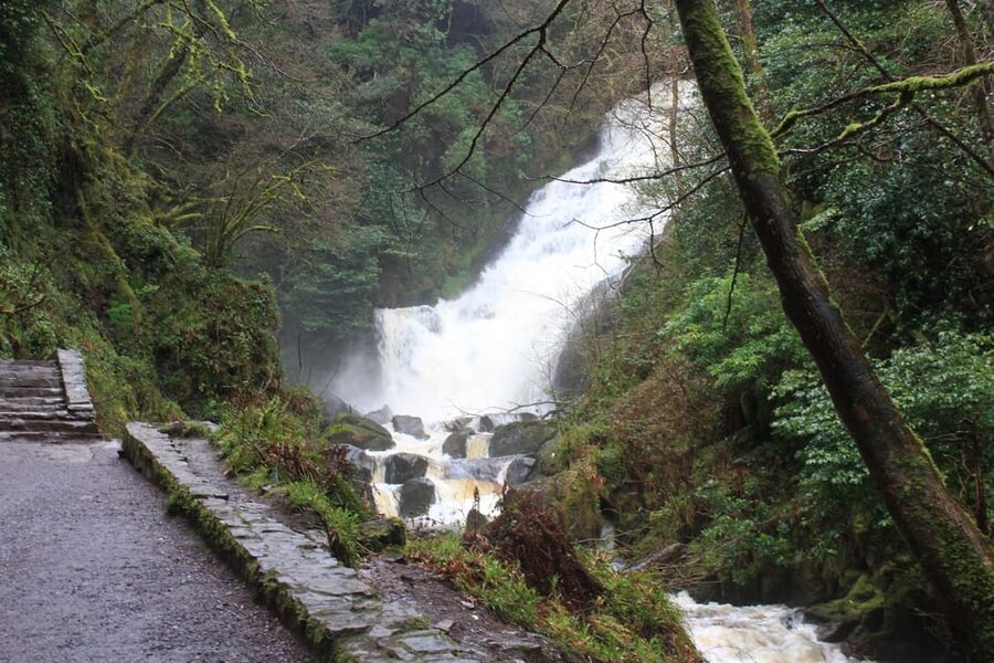 Private Wild Atlantic Day Tour from Cork - Cork coastal focus: how Kinsale and Clonakilty shape the day