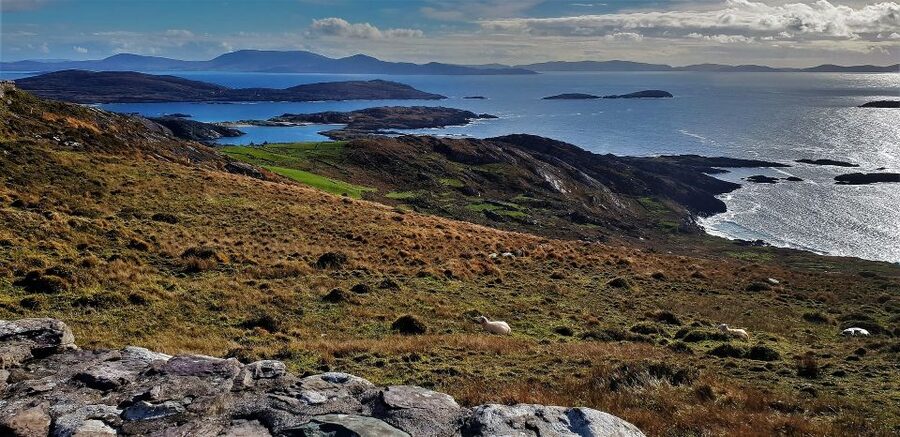 Rail Tour from Dublin: The Ring of Kerry - The coach day reality: how long it is, how controlled it feels