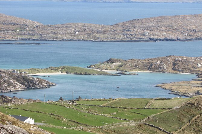 Ring of Kerry and Skellig Ring Private Tour - Torc Waterfall near Killarney: the legs stretch, then you head back