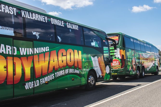 Ring of Kerry Day Tour from Cork: Including Killarney National Park - Starting in Cork: Paddywagon pickup and what to plan for