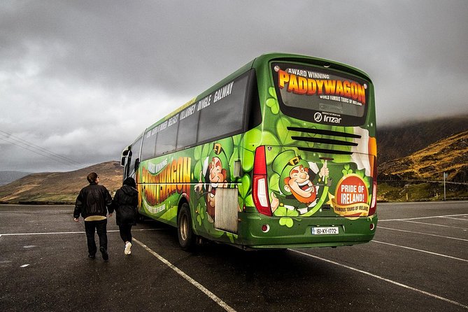 Ring of Kerry Day Tour from Killarney: Including Killarney National Park - Timing, curvy roads, and making the commentary audible