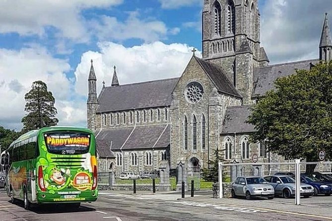 Ring of Kerry Day Tour from Limerick: Including Killarney National Park - Killarney National Park walk: make your 20 minutes count