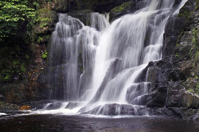 Ring of Kerry Day Tour from Limerick: Including Killarney National Park - Killarney first hour: what you can realistically do with about 60 minutes