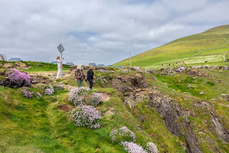 Ring of Kerry & Kerry Cliffs: Private Tour from Killarney - Derrynane House and Daniel O’Connell: adding context to the scenery