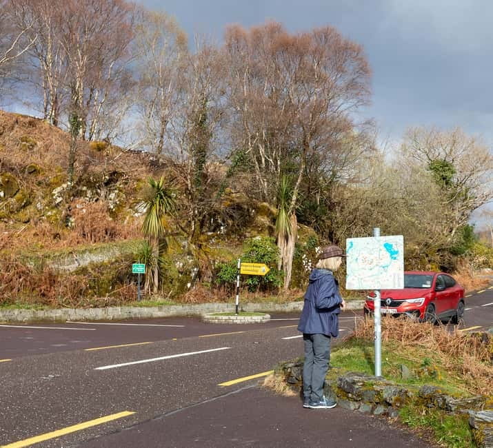 Ring of Kerry & Kerry Cliffs: Private Tour from Killarney - Why a private Ring of Kerry day works better than solo driving