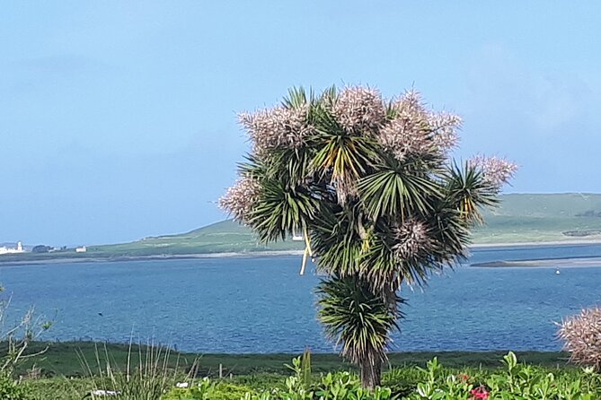 Ring of Kerry Private Tour - Key highlights worth planning around