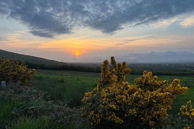 Ring of Kerry Private Tour from Killarney - The Guide Factor: What Makes Billy, Kevin, Tom, and Others So Loved