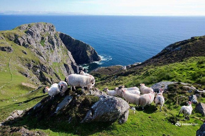 Ring of Kerry & Skellig Ring Private Day Tour - Key highlights that make this day tour work