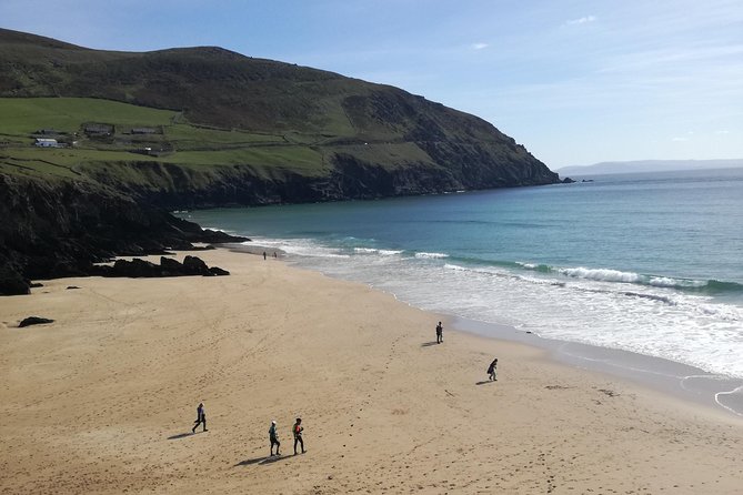 Ring of Kerry Tour Private Chauffeur Driven From Killarney - Portmagee: Start with Sea Air and a Proper Lunch Break