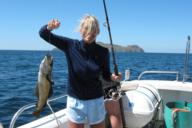 Sea Fishing 2 hour - The Fishing Workflow: How the Skipper Makes It Click