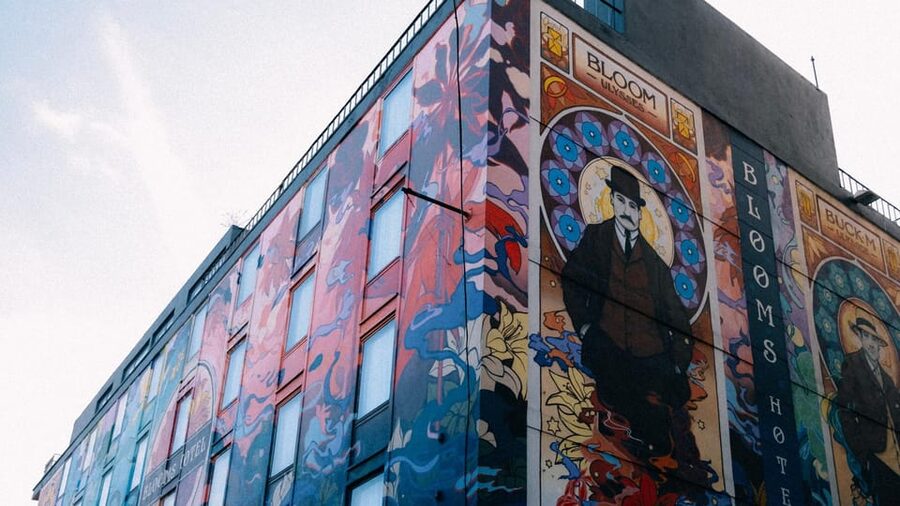 Secret and unusual Dublin: guided walking tour - Key things you will notice on this tour