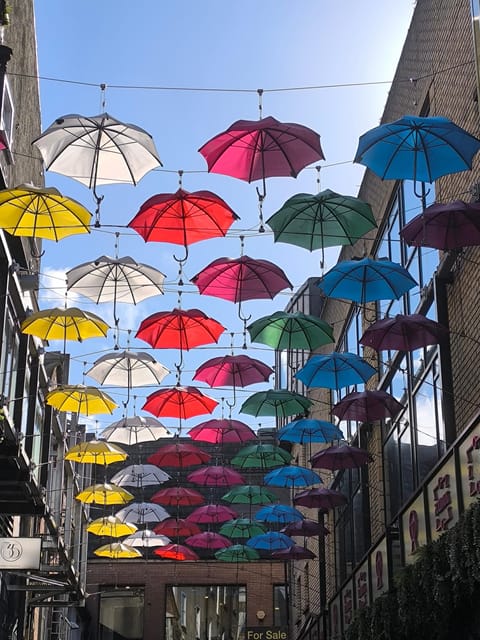 Secret and unusual Dublin: guided walking tour - The vibe: secret corners, but with direction