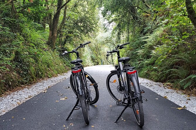 Self Guided Bike Tour on the Tralee to Fenit Greenway - Getting set up at Mounthawk, Tralee, and feeling confident fast