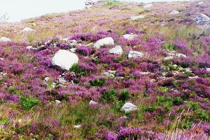 Self Guided Electric Bike Tour of Historical Sites in the Burren Co Clare - Price and value: is $78.10 a good deal?