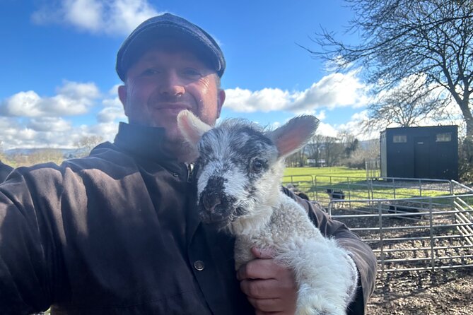 Sheepdogs in the countryside, authentic Dubliners city tour combo - Price and group size: what you are paying for