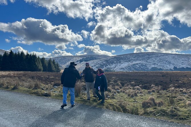 Sheepdogs in the countryside, authentic Dubliners city tour combo - Getting out of the city to Wicklow and meeting the sheepdogs