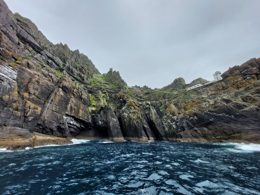 Skellig Michael: Skellig Sightseeing Cruise with AquaTerra - Great Skellig (the main event): wildlife watching with stories from the 6th century