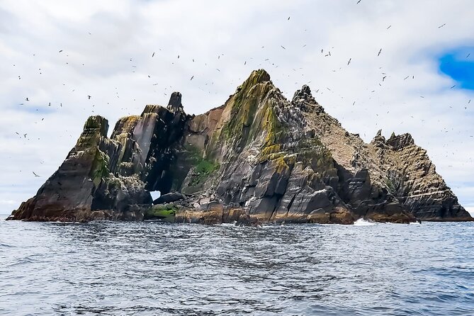 Skellig Michael : Ultimate Skellig Coast Tour with AquaTerra - Kerry Cliffs and Puffin Island, where wildlife is part of the plan