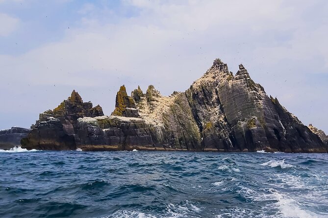 Skellig Michael : Ultimate Skellig Coast Tour with AquaTerra - Price and value for Skellig Michael day views
