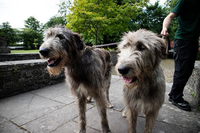 Skip the Line: Bunratty Castle and Folk Park Admission Ticket - Who This Bunratty Ticket Fits Best