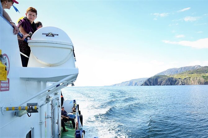 Slieve League cliffs cruise. Donegal. Guided. 1 ¾ hours. - Dolphins, wildlife, and Donegal Bay views on the way back
