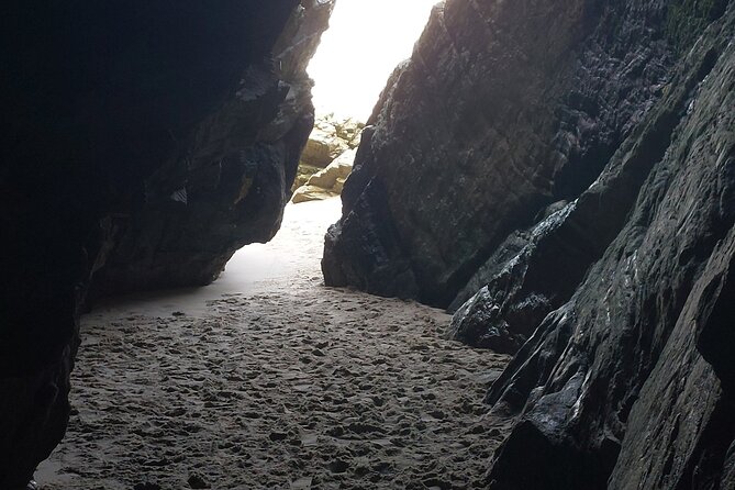 Slieve League Cliffs Donegal Tour from Galway - Killybegs Harbour: a working-port break from the cliffs