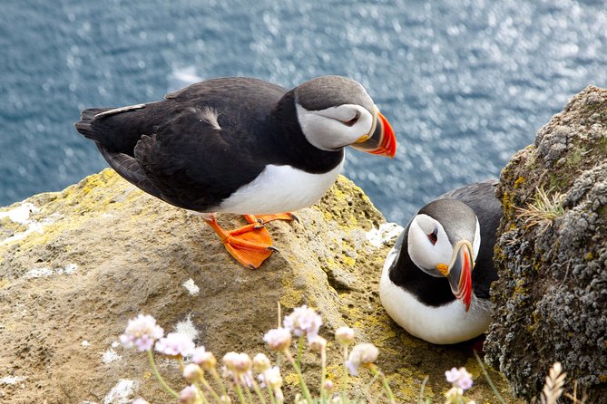 Small Group - Cliffs Cruise, Aran Islands AND Connemara in One Day from Galway - Cliffs of Moher cruise: the best seat strategy and what to expect