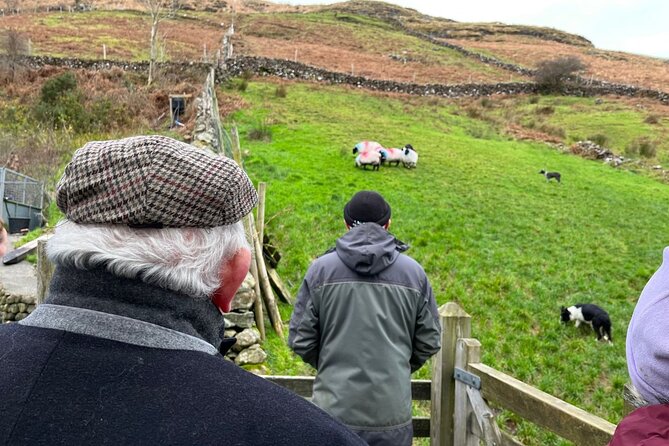 Small Group Kylemore Abbey, Sheepdog Demo & Connemara Tour - Kylemore Abbey and the Victorian walled garden, plus a WWI twist