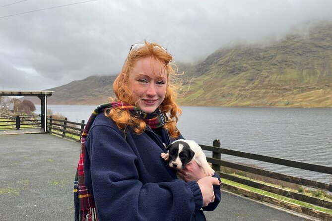 Small Group Kylemore Abbey, Sheepdog Demo & Connemara Tour - Leenane lunch and Killary Fjord, Ireland’s only natural fjord stop