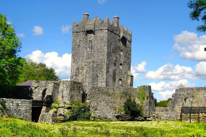 Small Group Kylemore Abbey, Sheepdog Demo & Connemara Tour - Price and value: what $126.98 buys you beyond the bus ride