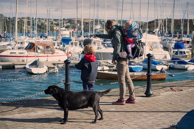 (Small Group) Shore Tour from Cork: Blarney Castle & Jameson Distillery - Cork city drive plus Kinsale, forts on the horizon, and a real taste of the coast