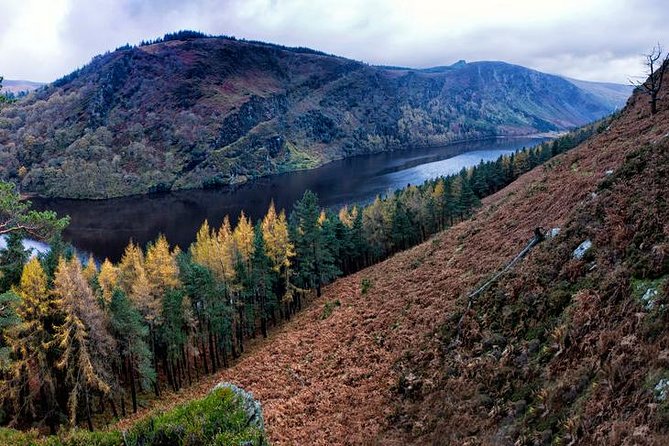 (Small Group) Shore Tour from Dublin:Dublin Highlights and Glendalough Day Trip - Dublin’s Fair City Loop: Landmarks Plus Real Shopping Time
