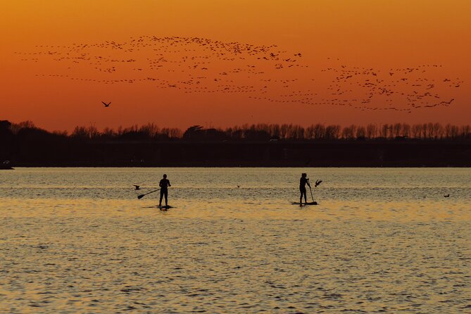 Sunset SUP experience in Malahide, Dublin - Key highlights