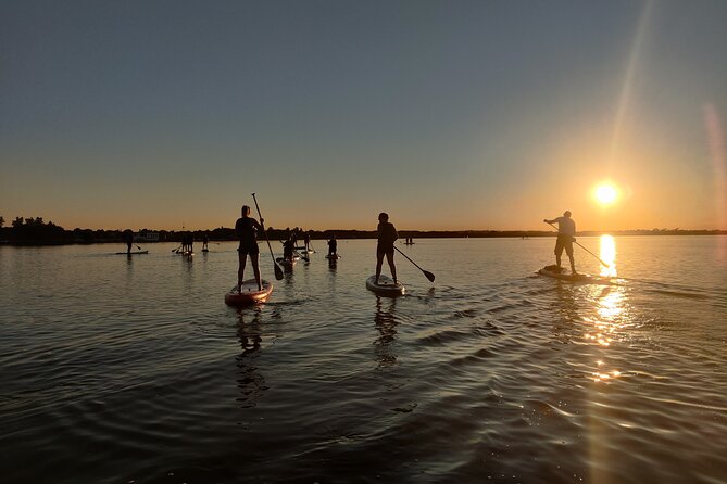 Sunset SUP experience in Malahide, Dublin - Your 90-minute flow: what happens from start to finish