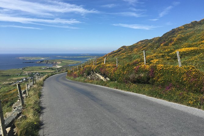 Sustainable Connemara and Galway Bay Rail Tour from Dublin - Leenane, Letterfrack, and Clifden: small towns, big atmosphere