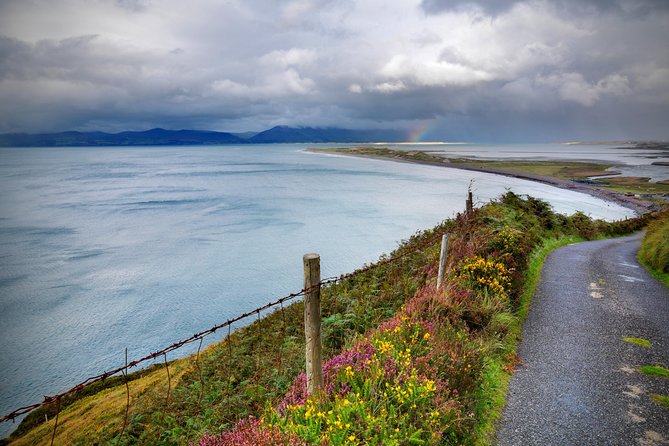 Sustainable Ring of Kerry Rail Tour from Dublin - Quick hits: what makes this Ring of Kerry rail day work