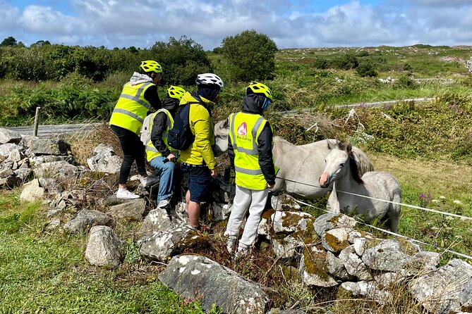 Taste of Connemara Tour by Electric Fat Tyre Bike - Getting on board in Galway, meet points that actually make sense