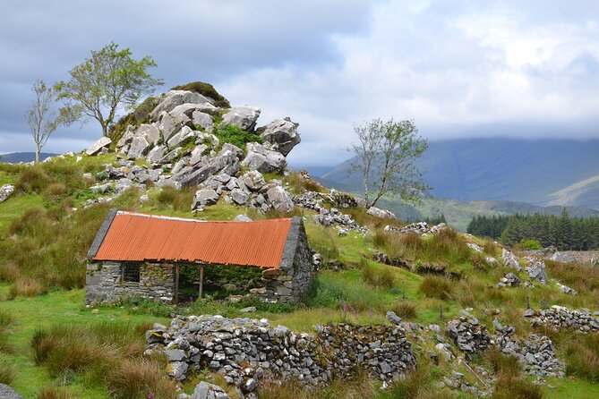 The Best Two Day Tours in Ireland: The Ring of Kerry and Dingle Slea Head Tours - Day 2 to Dingle and Slea Head: Coastal Drama Plus Town Time