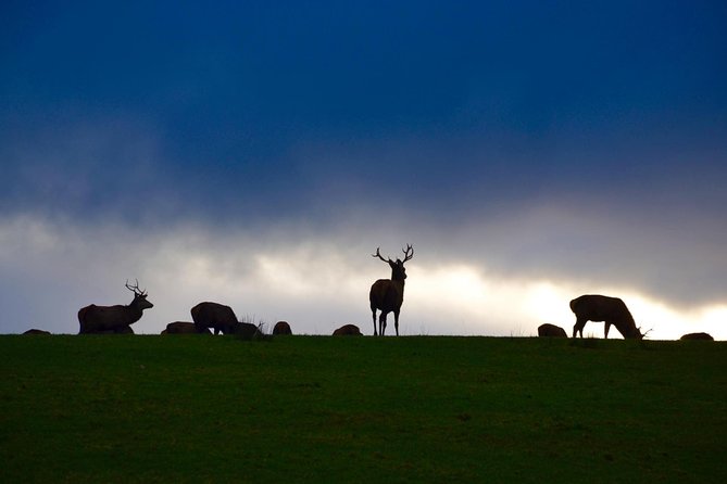 The Best Two Day Tours in Ireland: The Ring of Kerry and Dingle Slea Head Tours - How the 9:30 Start and Route Order Work in Real Life