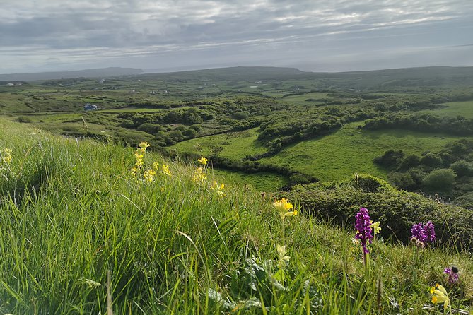 The Burren and Cliffs of Moher Private Tour from Galway - Price and logistics: what you are paying for, and what you should plan
