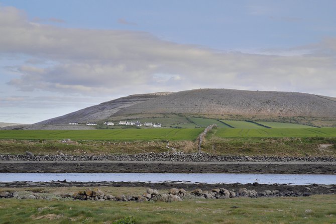 The Burren and Cliffs of Moher Private Tour from Galway - Who should book this Burren and Cliffs private tour