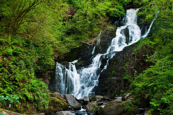 The Classic Ring of Kerry & Skellig Ring Tour - Why This Private Ring of Kerry and Skellig Ring Day Feels Less Rushed