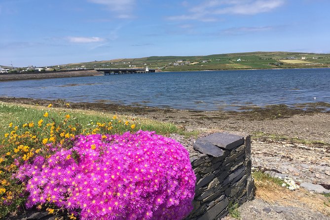 The Cliffs of Moher and Burren National Park Private Tour. - Stop 2: Bunratty Castle, a quick photo moment
