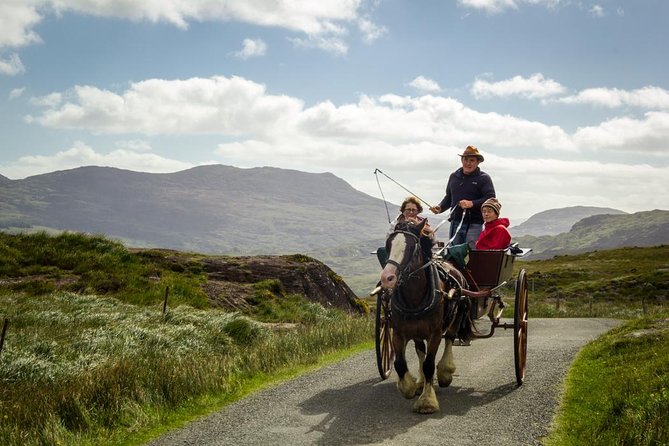 The Gap of Dunloe Adventure Day Tour from Killarney - Weather and comfort: how to dress so the day stays fun