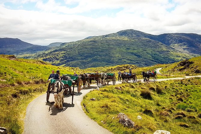 The Gap of Dunloe Adventure Day Tour from Killarney - The guides and the vibe: what makes the day click